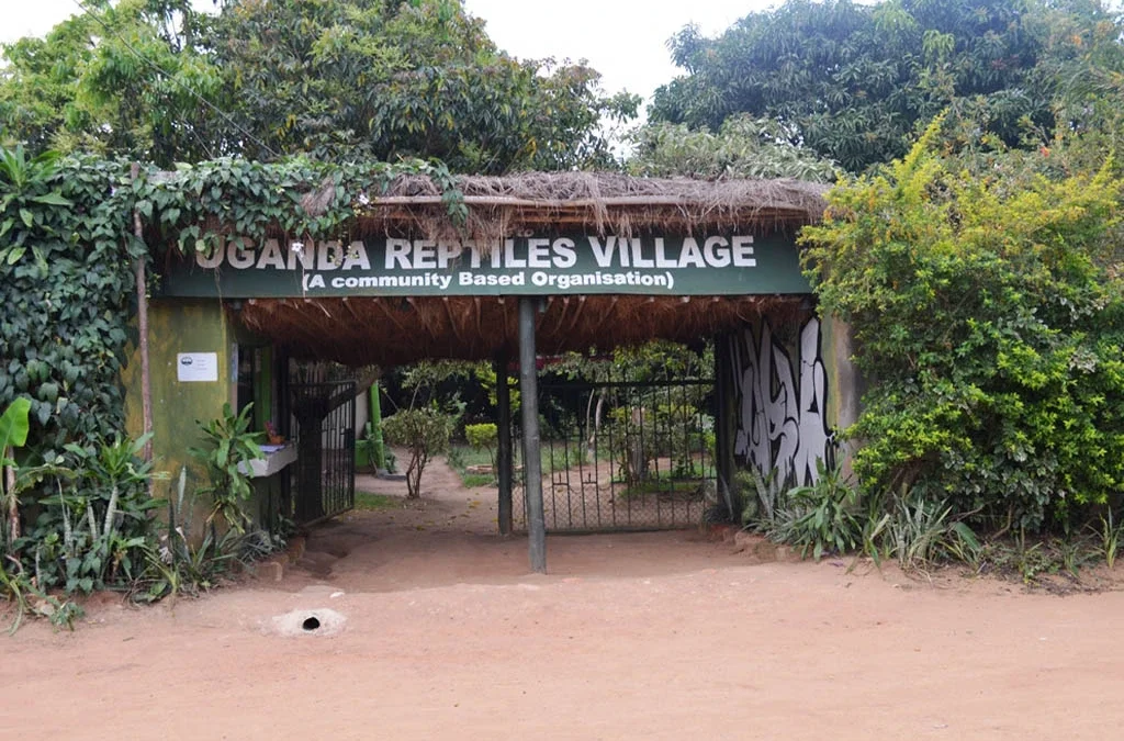 Uganda Reptiles Village Tour with Experiya Tour Company