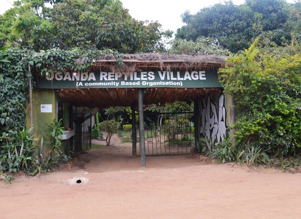 Uganda Reptiles Village Tour with Experiya Tour Company
