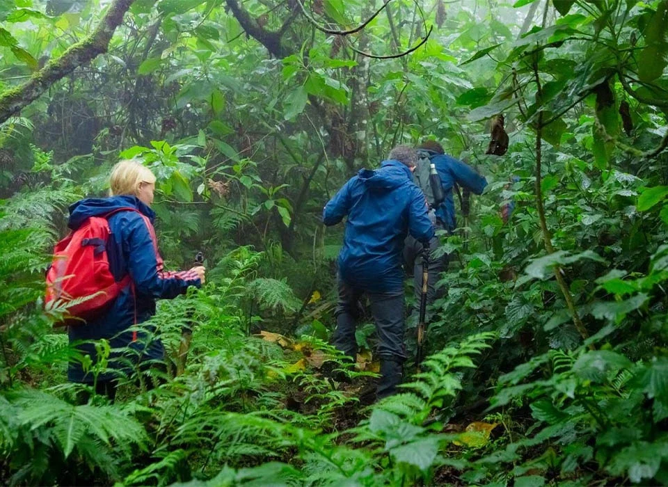 Uganda Safari Tours in the Rainy Season