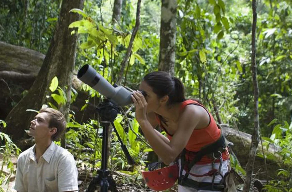 Top Birding Spots in Rwanda’s Forests and Wetlands