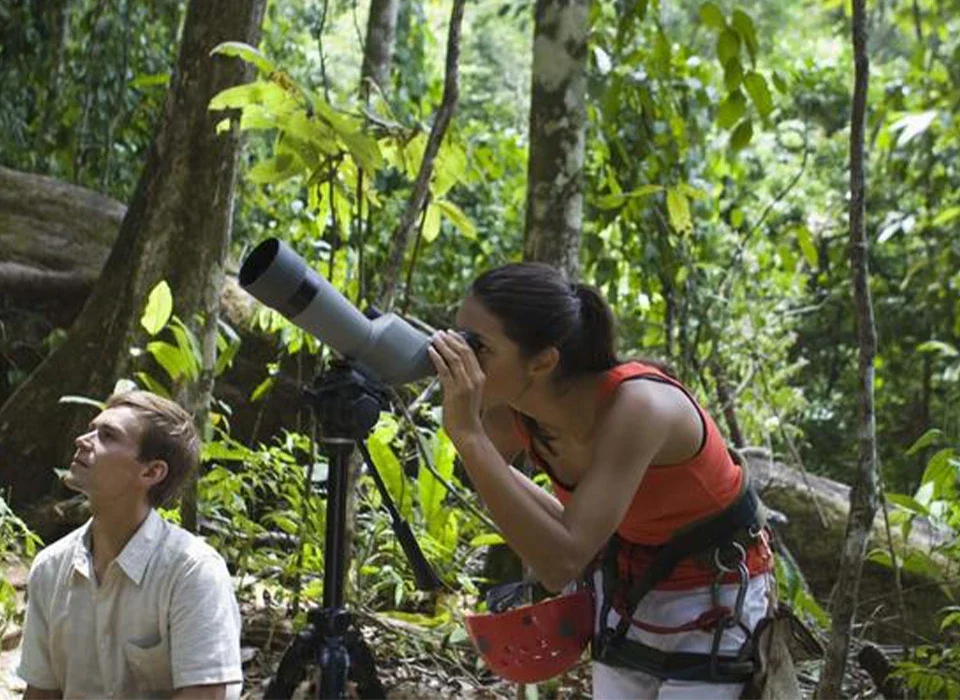 Top Birding Spots in Rwanda’s Forests and Wetlands