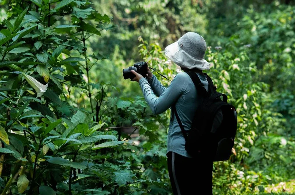Factors to Consider When Choosing a Gorilla Family in Bwindi Impenetrable National Park