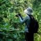 Factors to Consider When Choosing a Gorilla Family in Bwindi Impenetrable National Park
