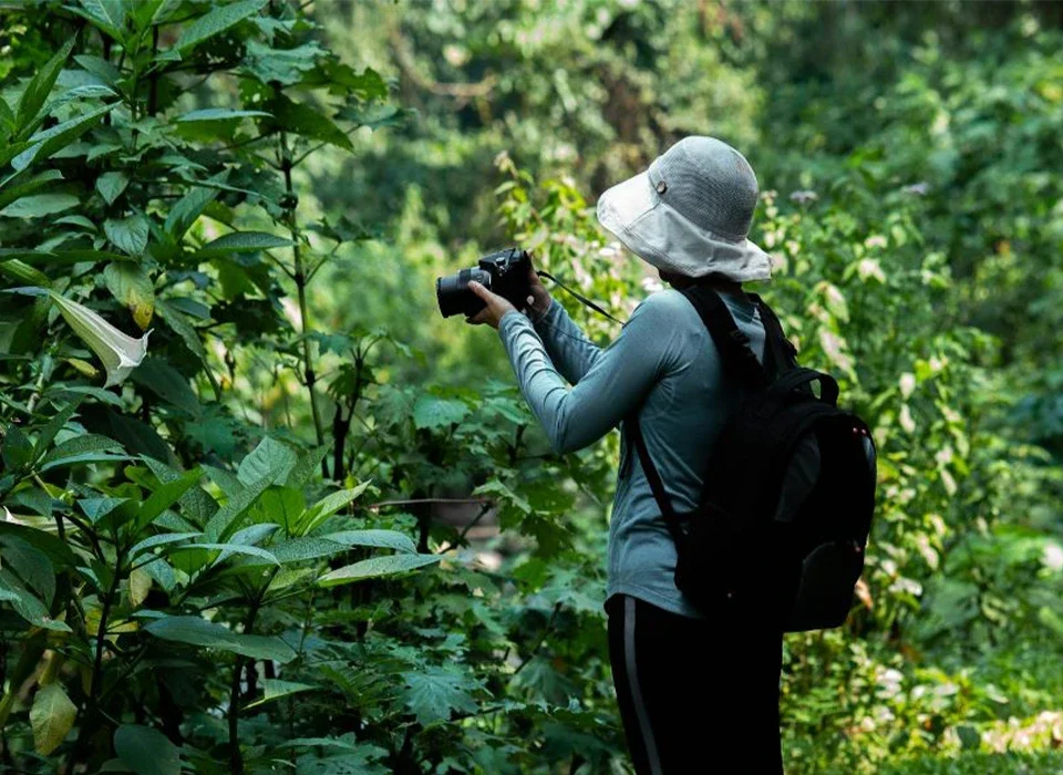 Factors to Consider When Choosing a Gorilla Family in Bwindi Impenetrable National Park