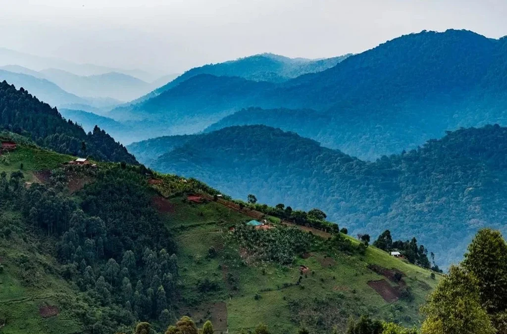 The Stunning View of Bwindi Impenetrable National Park