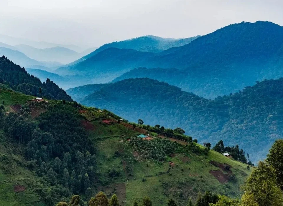 The Stunning View of Bwindi Impenetrable National Park