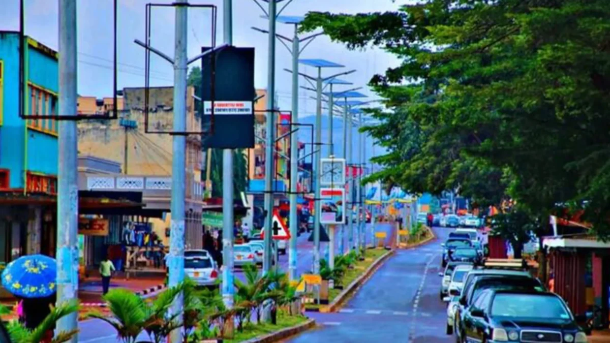 Why Choose a Jinja City Tour Uganda for Your Uganda Safari?