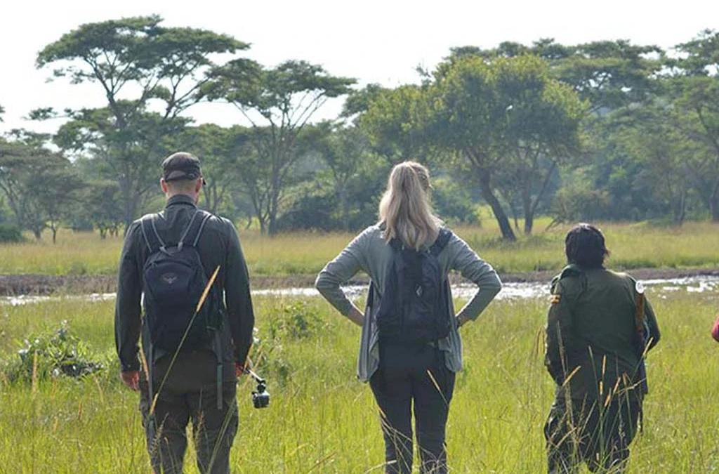 Why Lake Mburo Is the Top Stopover for a Gorilla Safari