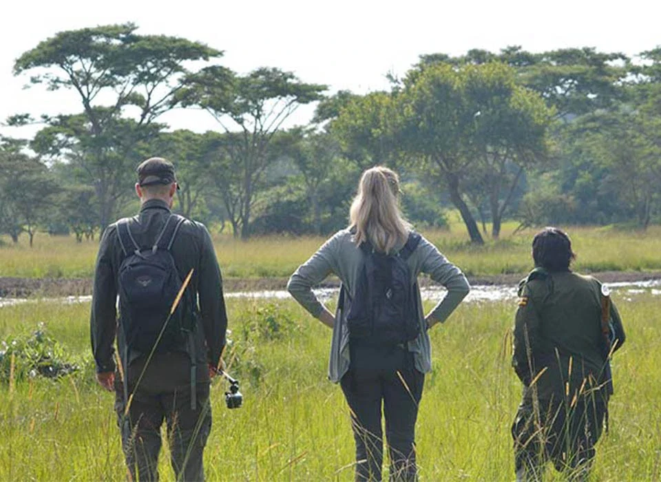 Why Lake Mburo Is the Top Stopover for a Gorilla Safari