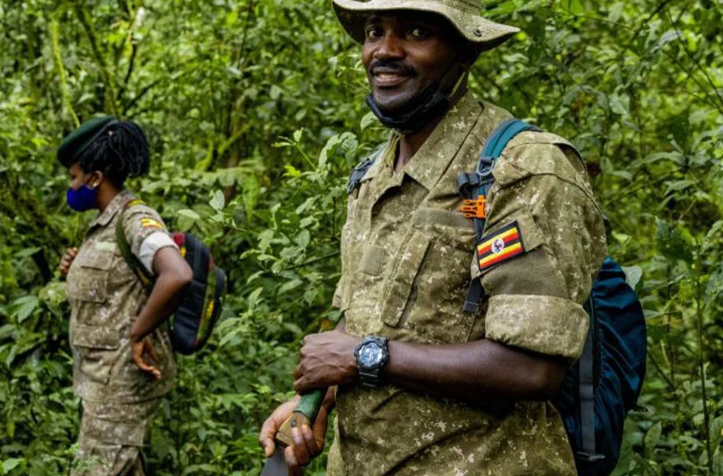 The Role of Rangers in Bwindi Conservation