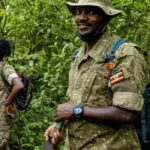 The Role of Rangers in Bwindi Conservation