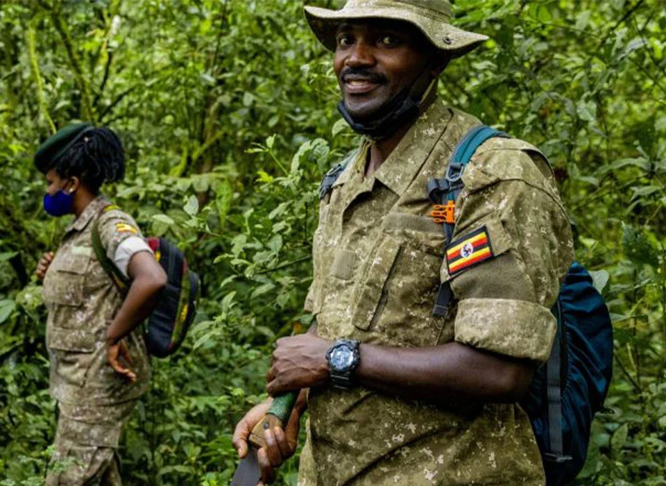 The Role of Rangers in Bwindi Conservation