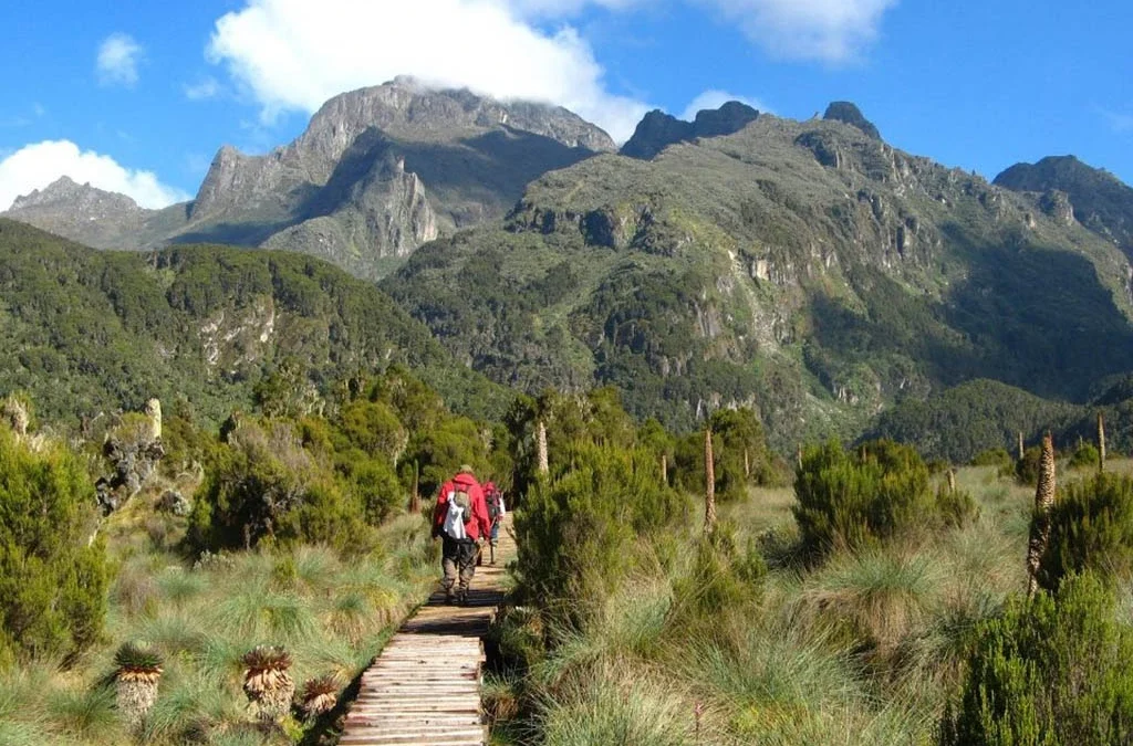 Top Activities to Do in Mount Elgon National Park