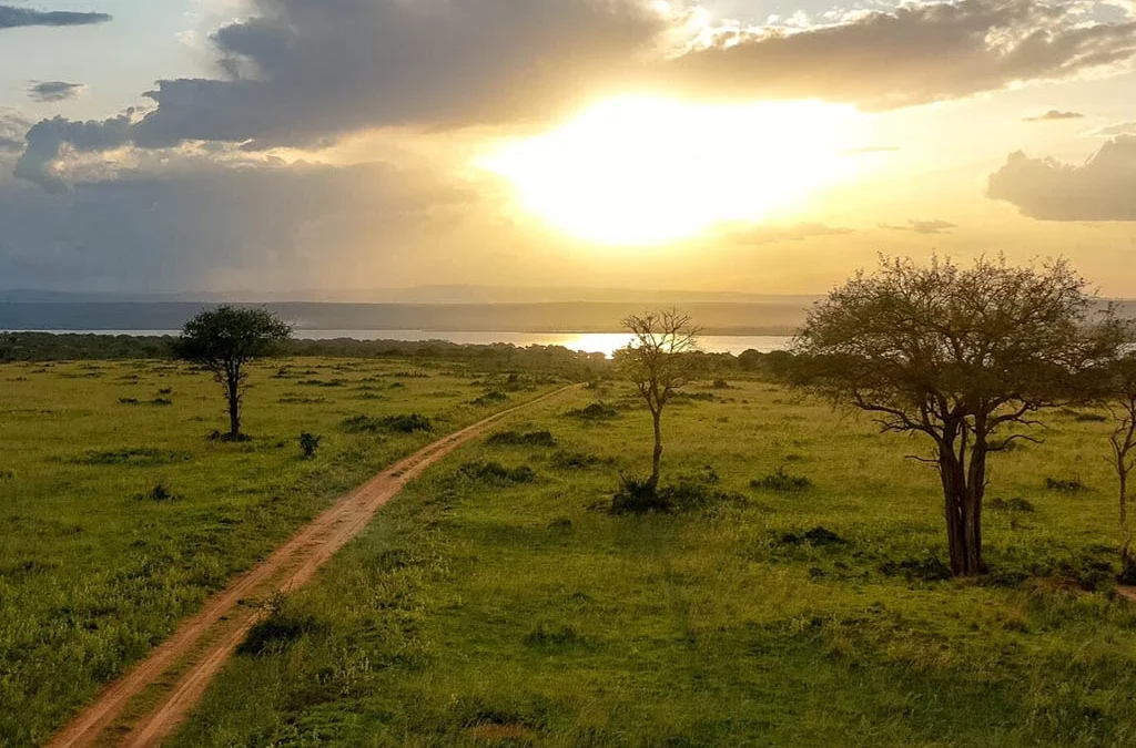 How to Plan a Winter Holiday Safari to Uganda