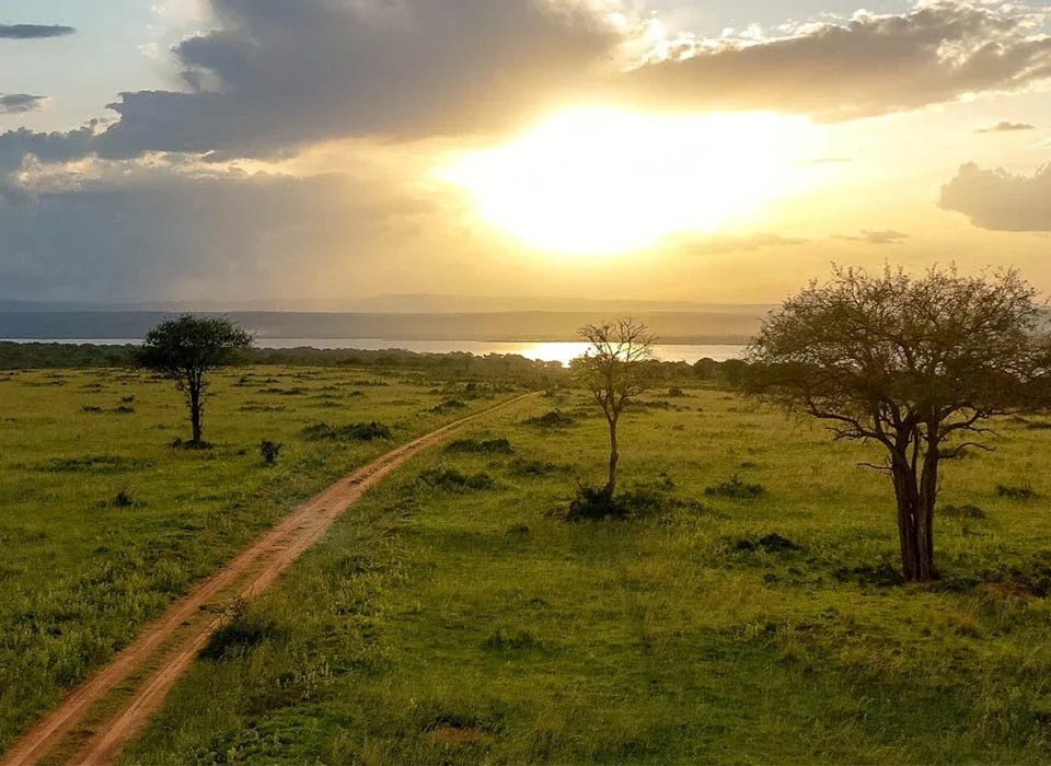 How to Plan a Winter Holiday Safari to Uganda