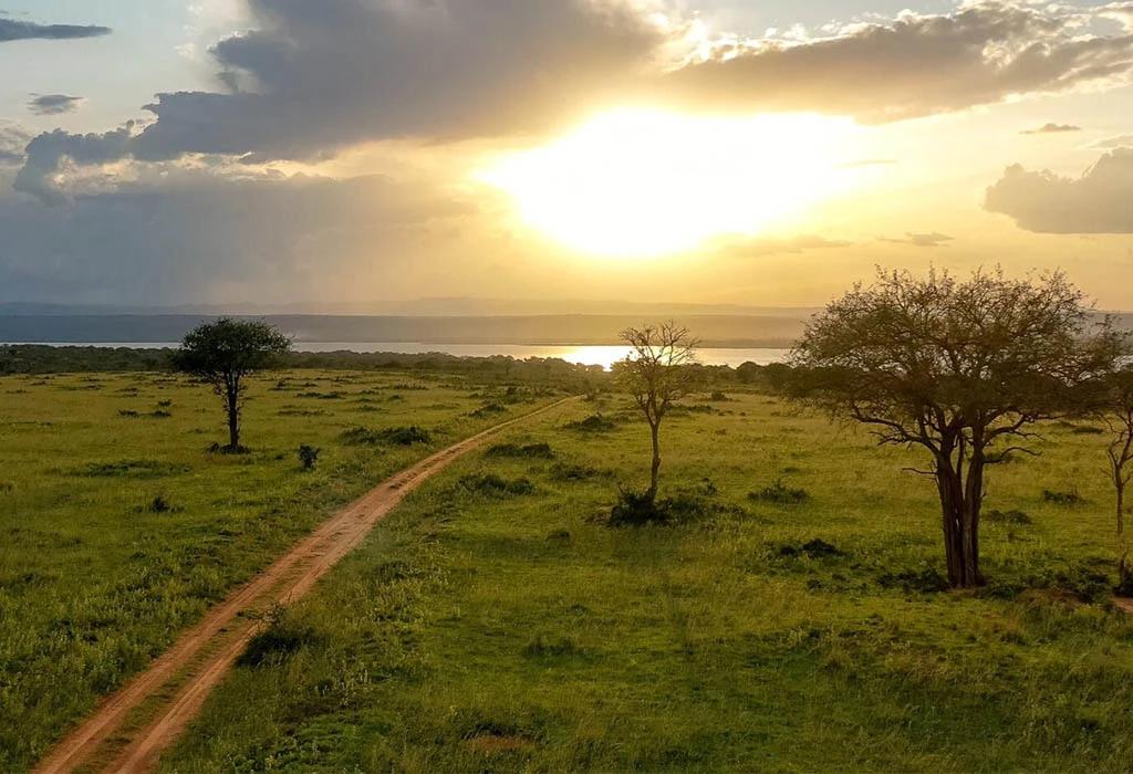 How to Plan a Winter Holiday Safari to Uganda