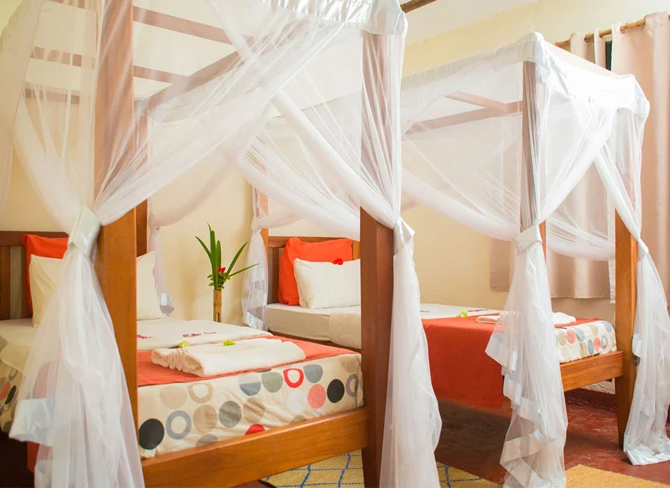 Top Lodging Choices in Bwindi Impenetrable National Park