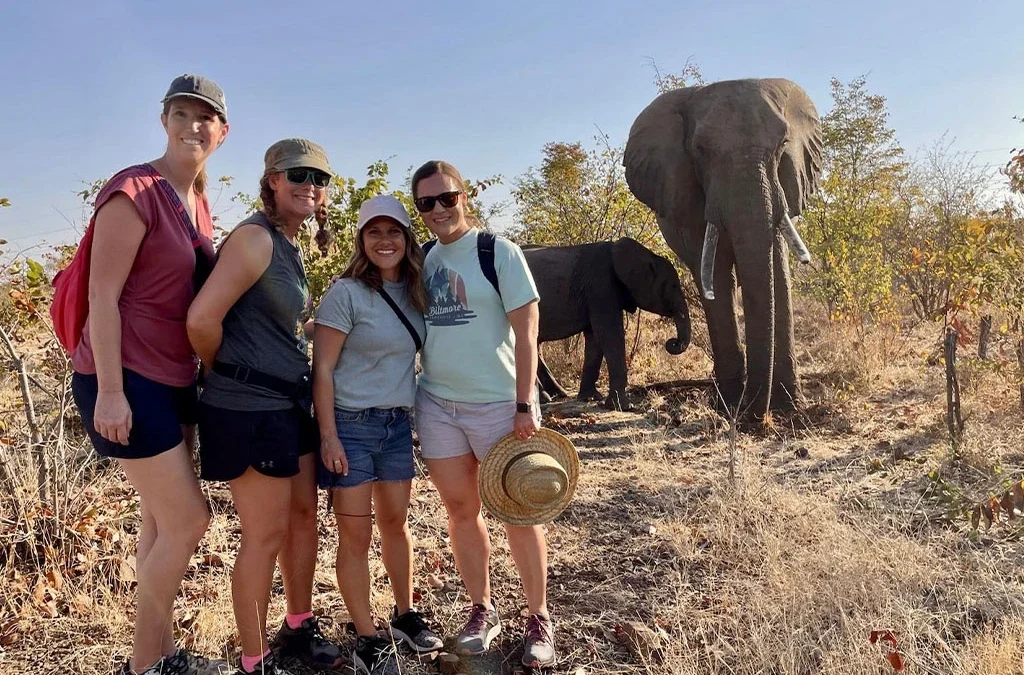 Are Private Guided Safaris Better Than Group Safaris?