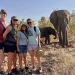 Are Private Guided Safaris Better Than Group Safaris?
