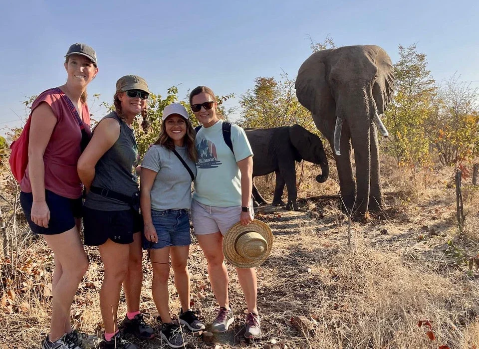 Are Private Guided Safaris Better Than Group Safaris?