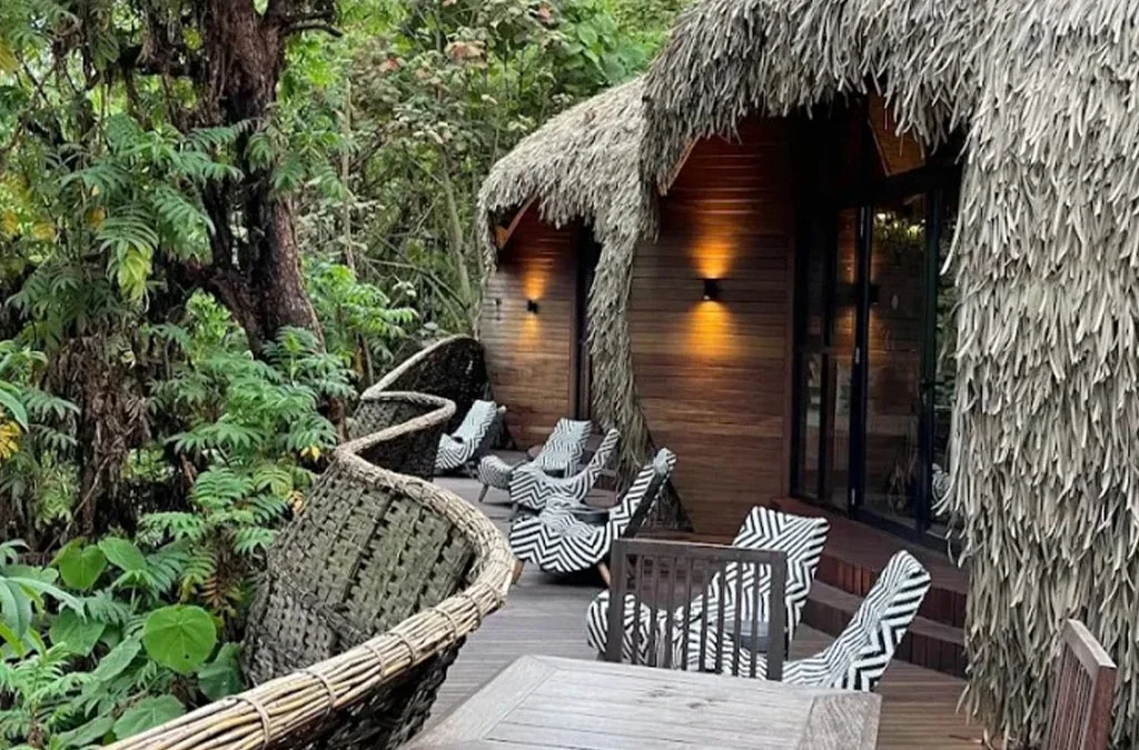 Are Luxury Lodges Available Near Gorilla Parks