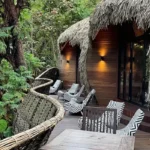 Are Luxury Lodges Available Near Gorilla Parks