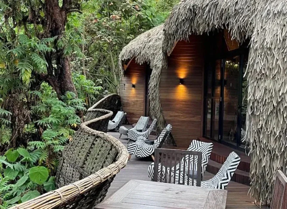 Are Luxury Lodges Available Near Gorilla Parks