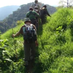 How Difficult Is Hiking Mount Bisoke or Mount Karisimbi?