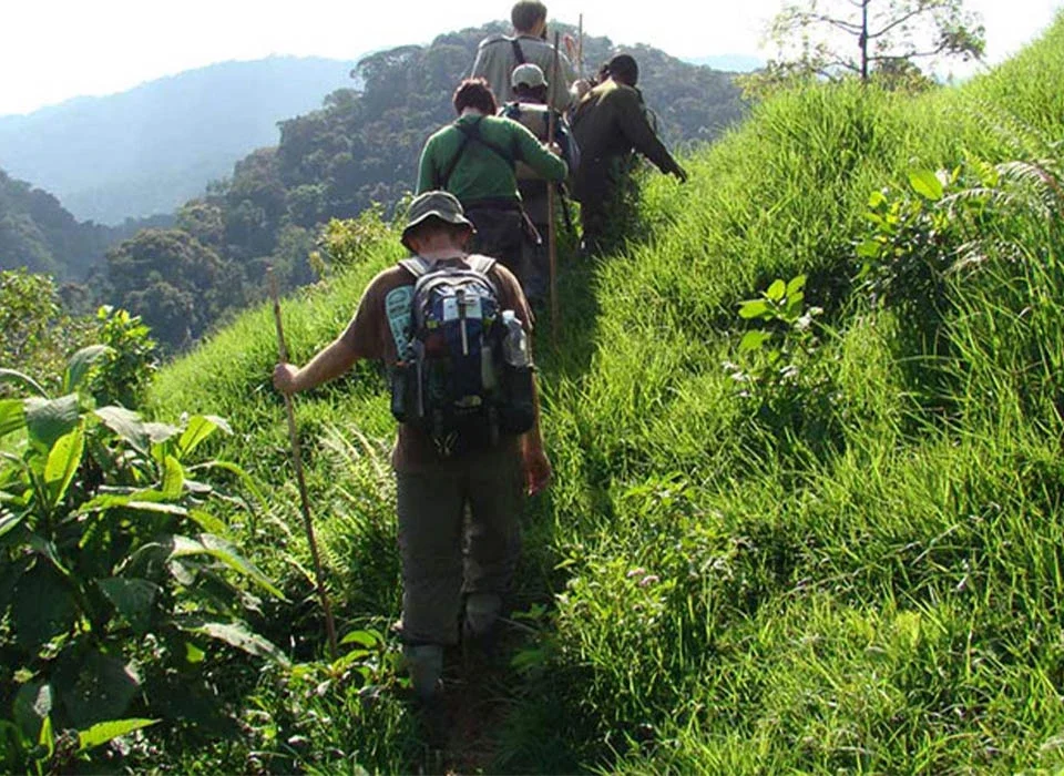How Difficult Is Hiking Mount Bisoke or Mount Karisimbi?