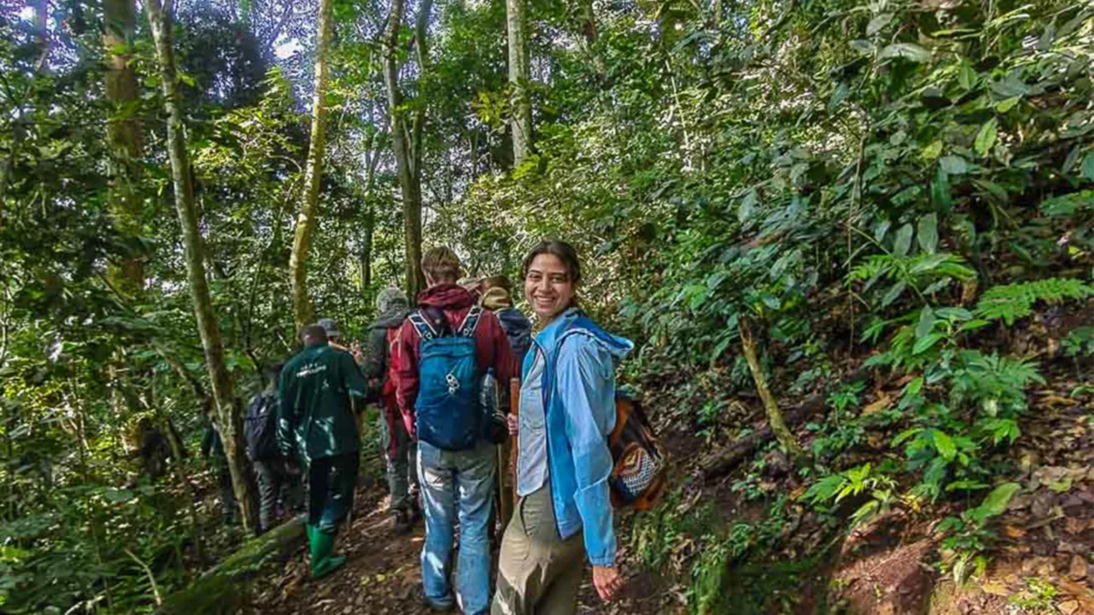 Are Walking Sticks Provided for Chimpanzee Tracking in Rwanda?