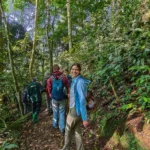 Are Walking Sticks Provided for Chimpanzee Tracking in Rwanda?
