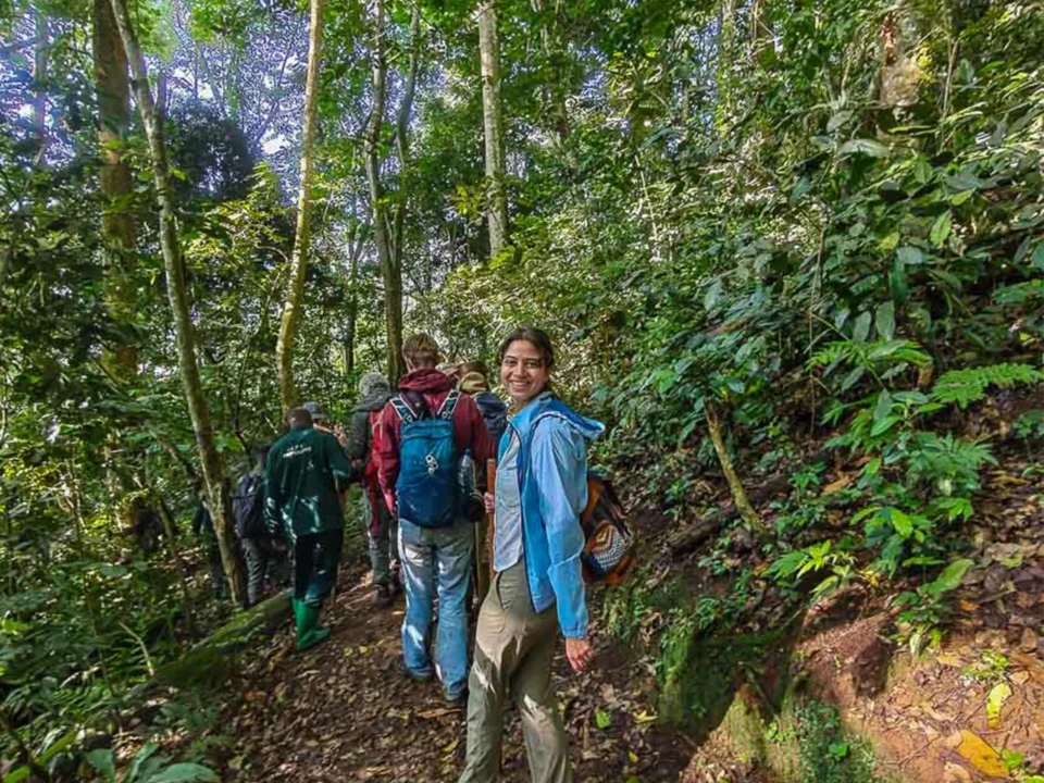 Are Walking Sticks Provided for Chimpanzee Tracking in Rwanda?