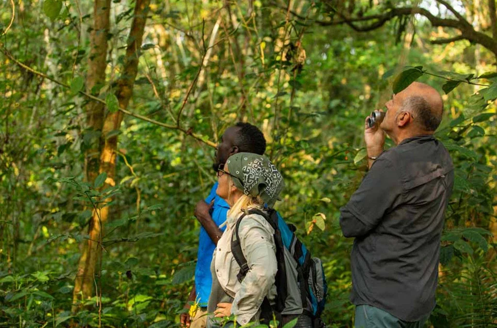 Attractions in Kibale National Park