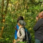Attractions in Kibale National Park