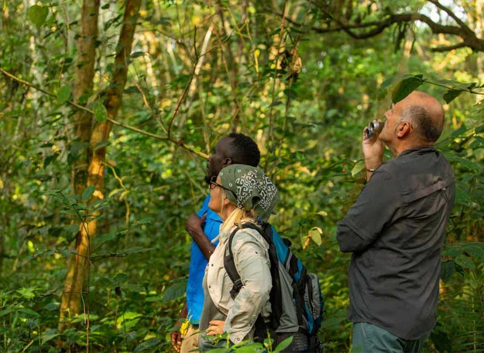 Attractions in Kibale National Park