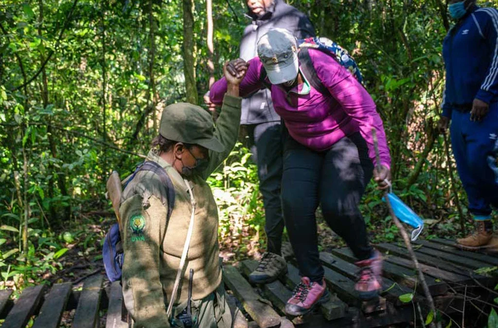 Discover the Beauty of Bigodi Wetland Community Walk