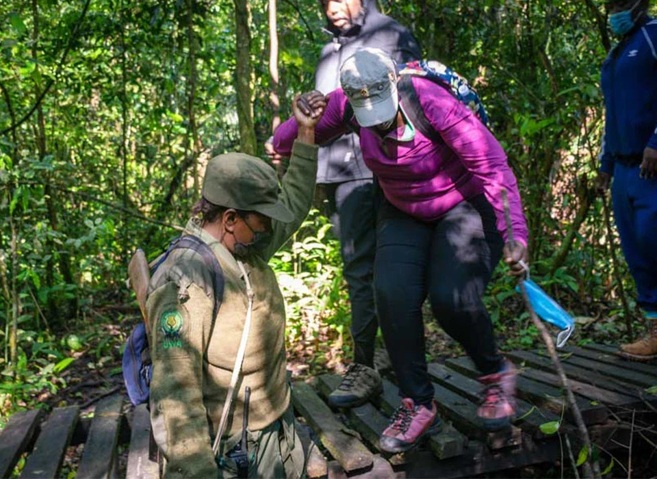 Discover the Beauty of Bigodi Wetland Community Walk