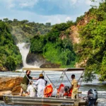 Boat Cruise in Murchison Falls National Park