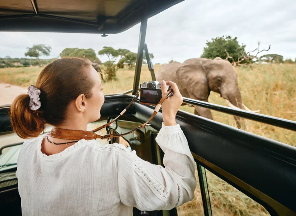 Can I Take Photos During a Game Drive?