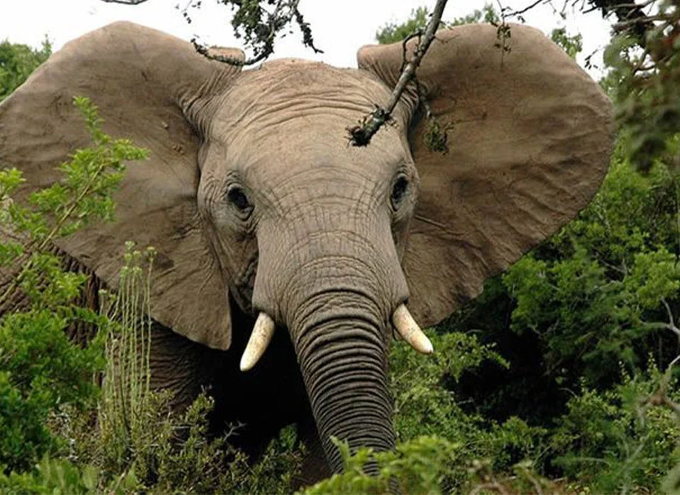 Top Activities and Attractions in Rwanda