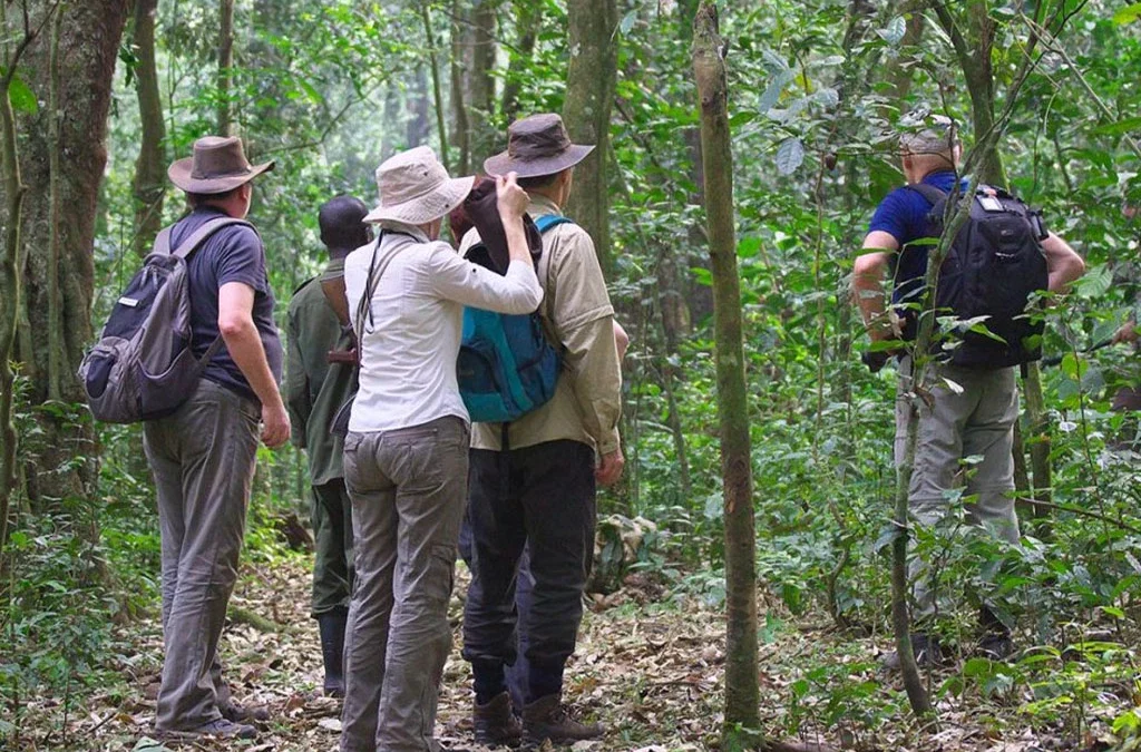 Cultural Activities Around Kibale National Park