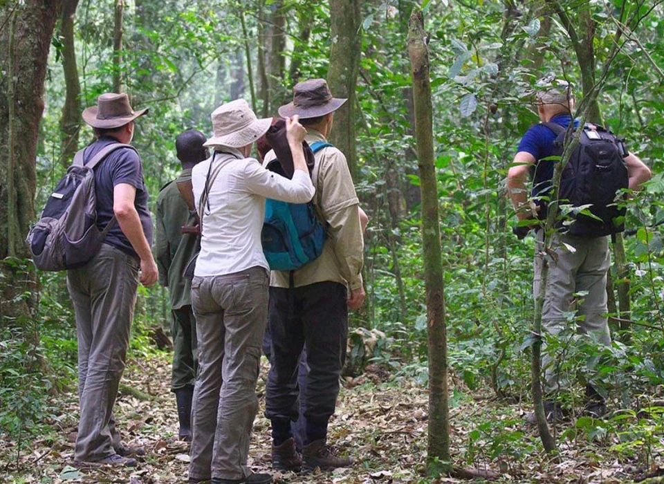 Cultural Activities Around Kibale National Park