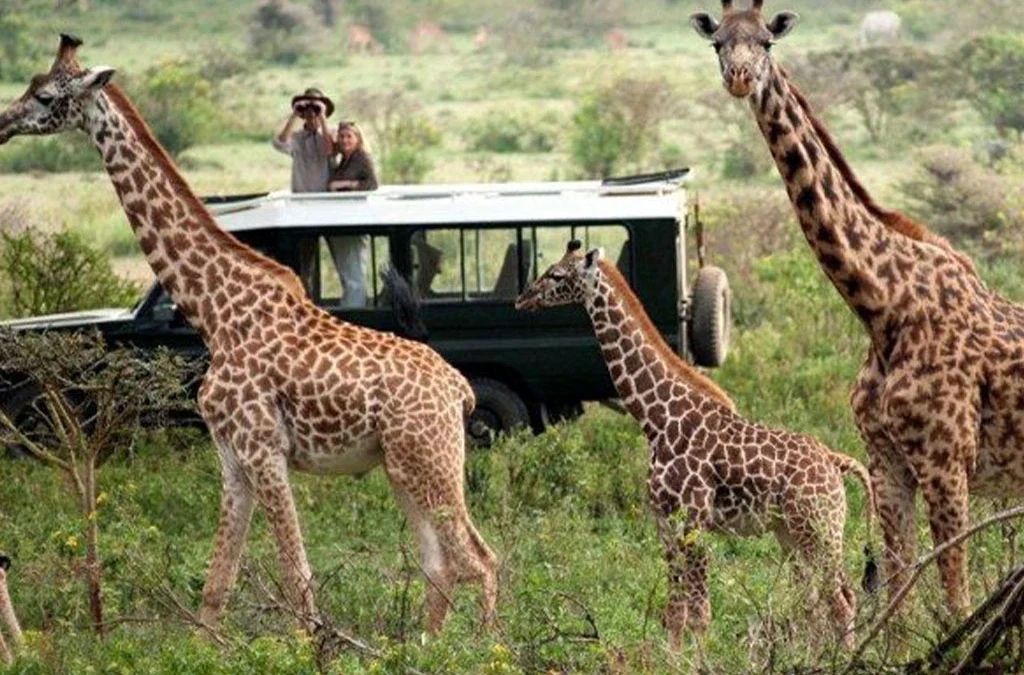 What You Should Know Before Traveling to Rwanda