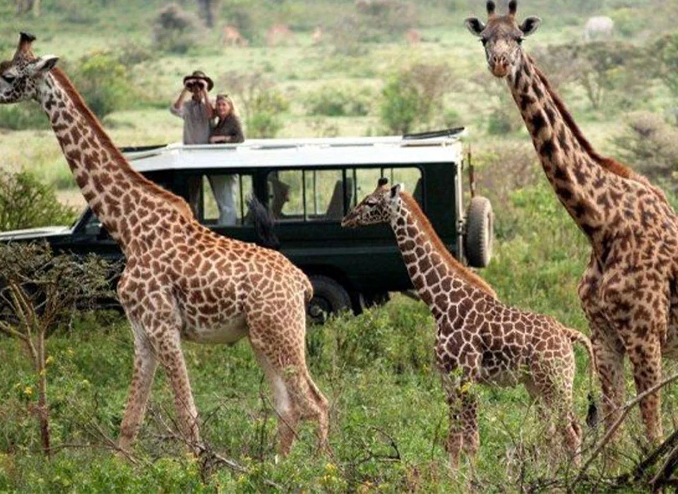 What You Should Know Before Traveling to Rwanda