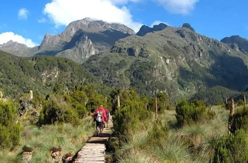 What Are the Best Hiking Safaris for 2026?