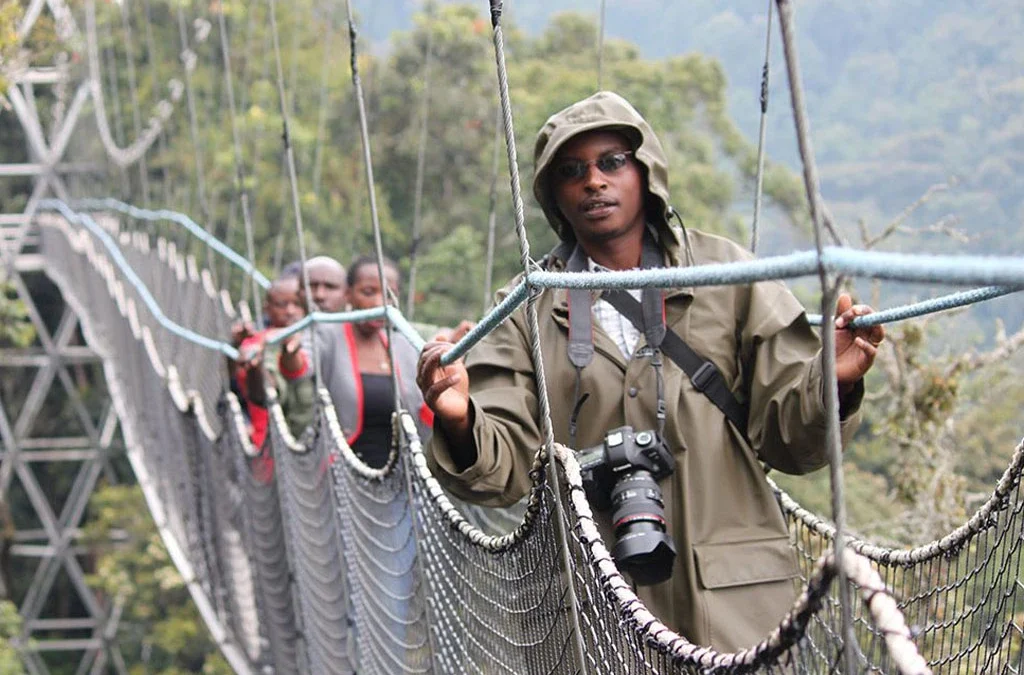 Experience the Nyungwe Forest Canopy Walk