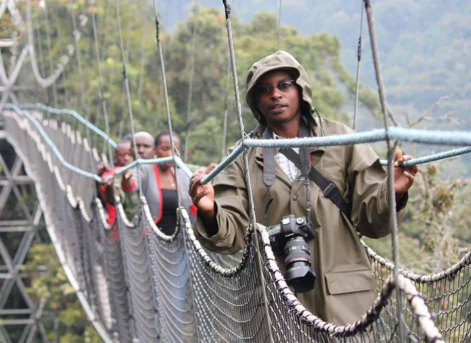 Experience the Nyungwe Forest Canopy Walk