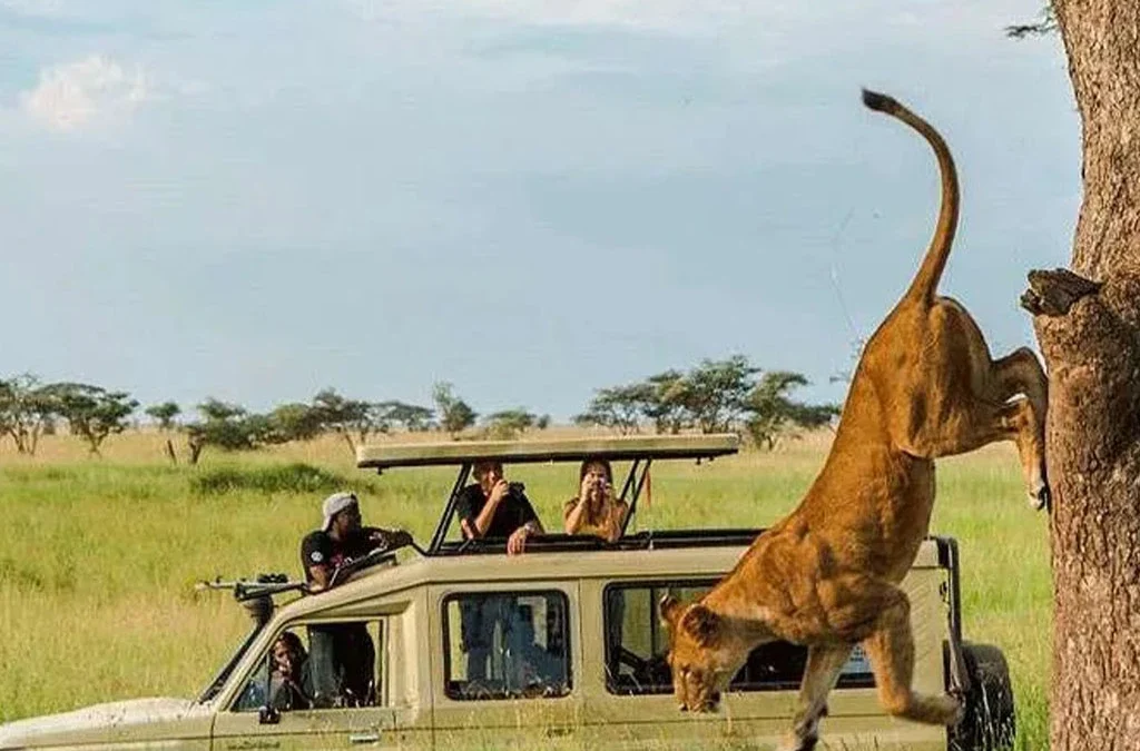 How Long Does a Typical Game Drive Last?
