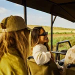 Do Game Drives Require a Guide? 