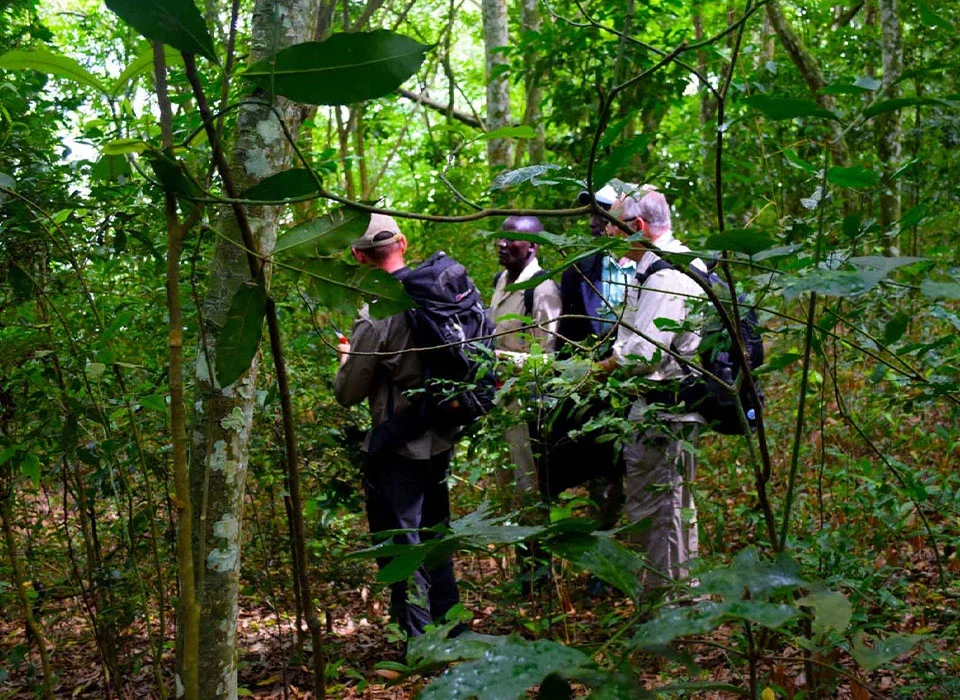Activities to Do in Maramagambo Forest